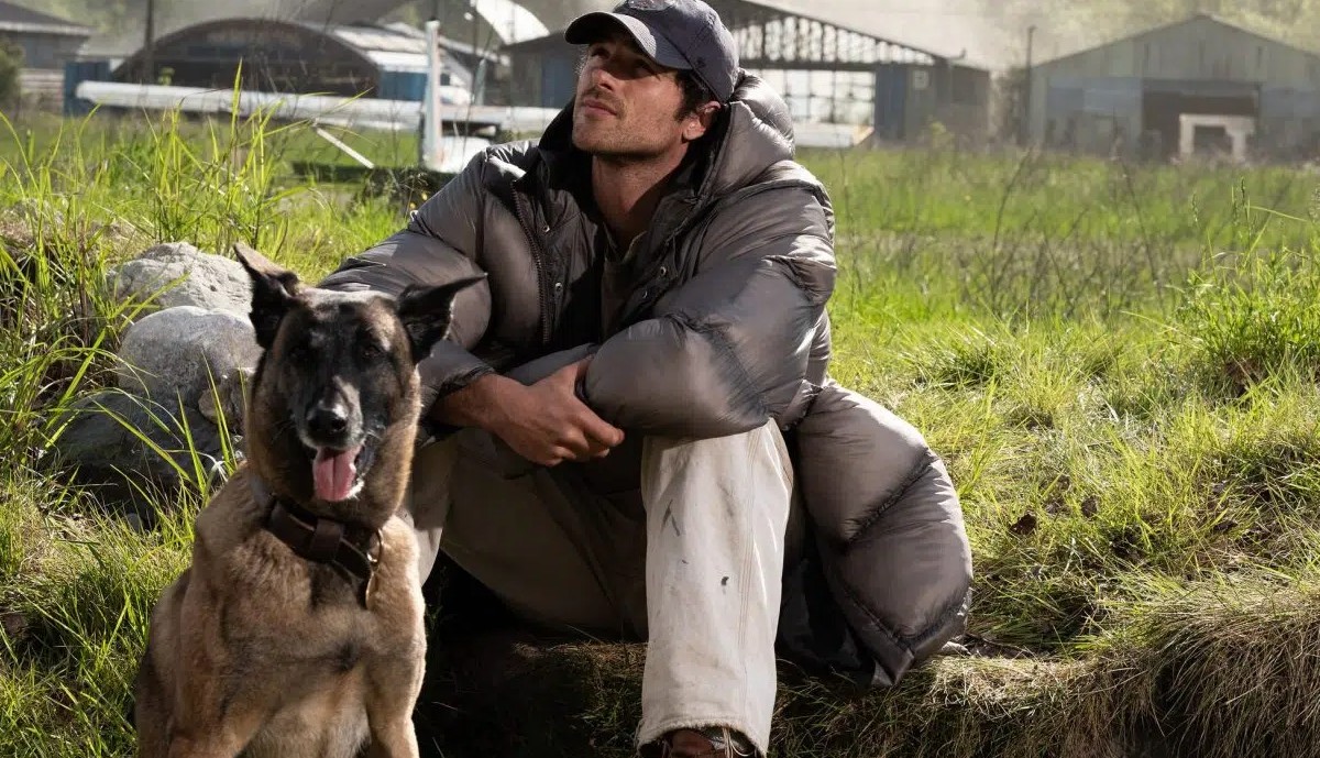 The Dog Stars se ramasse au cinéma...